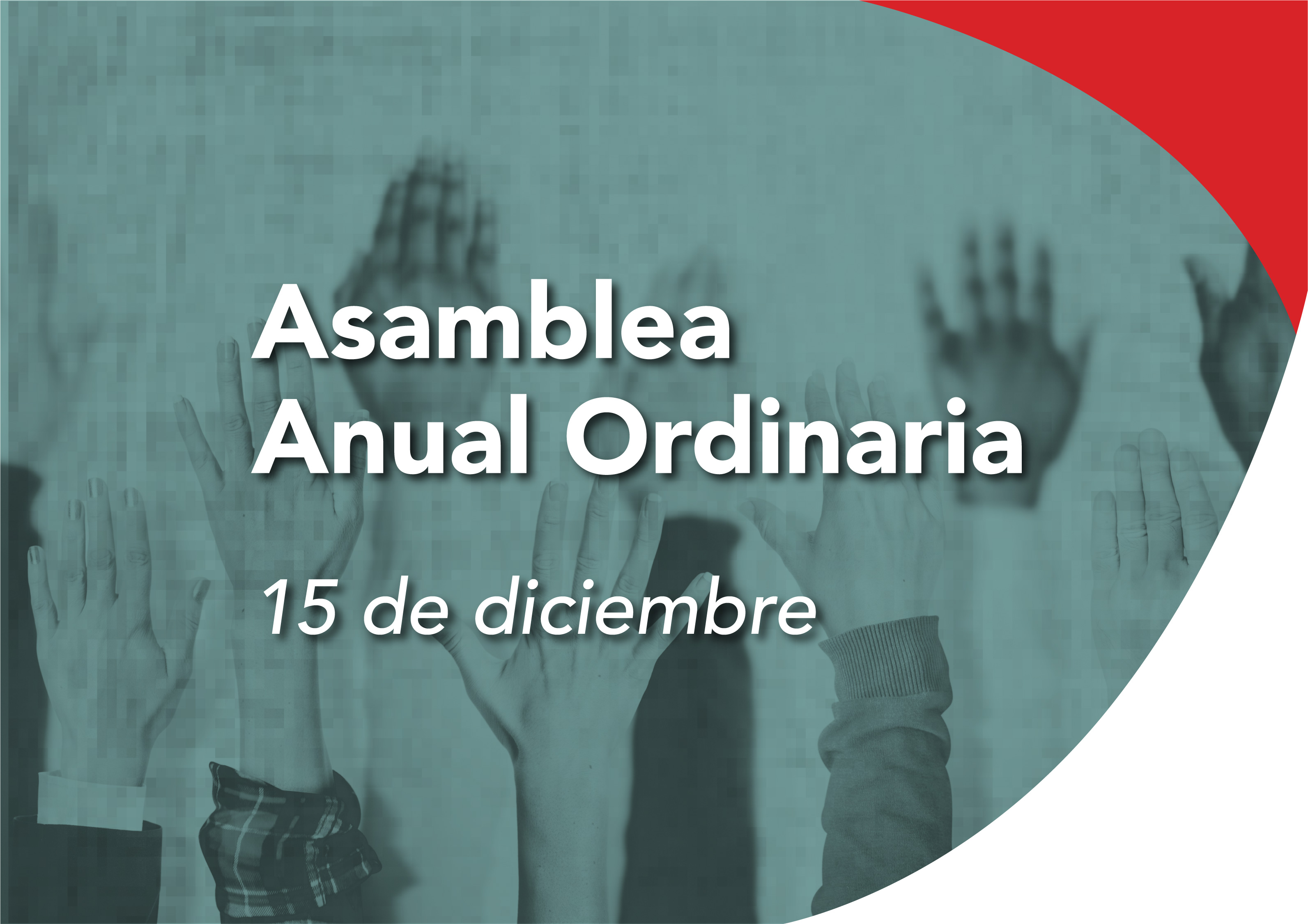 Asamblea Anual Ordinaria - CoPIG